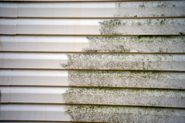 Best Shed Removal  in Orangevale, CA